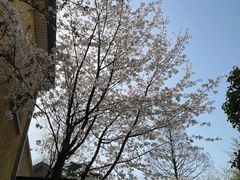 -颐和路民国时期公馆风貌区