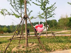 -东郊湿地公园