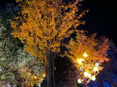 -天目湖御水温泉·度假酒店