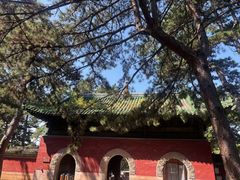 -普乐寺