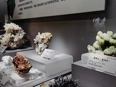 -湖南省地质博物馆