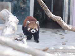 -天津市动物园
