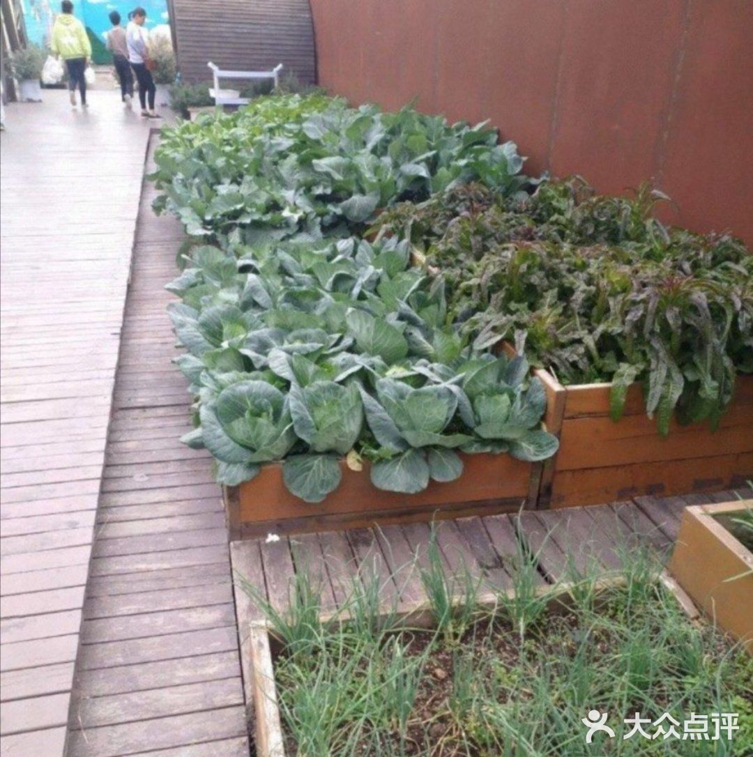 小朋友的放电指南-[吐]小蜜蜂农村[吐]