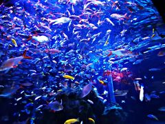 -成都浩海立方海洋公园