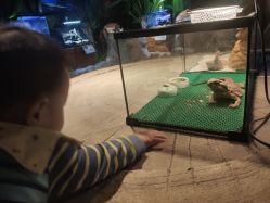 -酷嗒动物文化乐园(cutezoo西溪乐天城店)