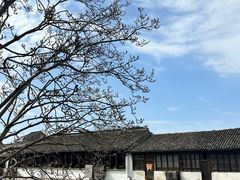 -仁昌顺(震泽店)