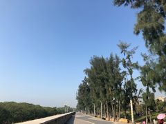 -宝安西湾红树林湿地公园