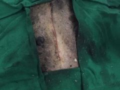 -安安宠物医院(情缘分院)