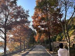 -泽雅景区