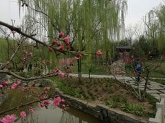 -鹦鹉寺公园