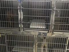 -萌兽医馆·绝育·24小时内科·宠物医院(德胜店)