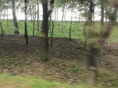 -洪泽湖古堰景区