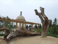 景点-沈阳植物园