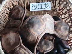 -海南槟榔谷黎苗文化旅游区