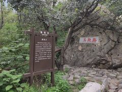 -阳台山自然风景区