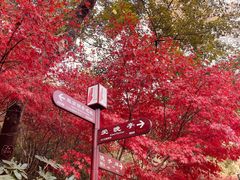 -岳麓山风景名胜区