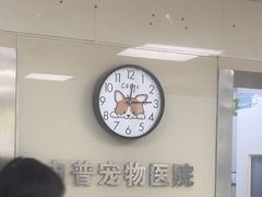 -申普宠物医院(总院)