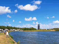 -春花秋色城市公园