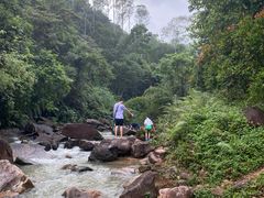 -广州白江湖森林公园