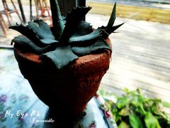 参差货柜咖啡-灯塔咖啡馆BOOK·Coffee Shop