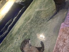 -重庆欢乐海底世界