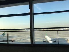 -上海浦东国际机场-T2航站楼