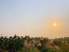 -安德鲁户外烧烤帐篷营地(马泉营店)