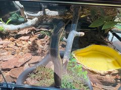 -北京植物园-展览温室