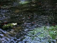 -水磨沟公园