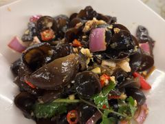 -百利鸽王(紫薇路店)