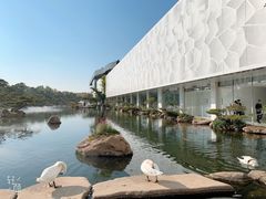 -罗红摄影艺术馆