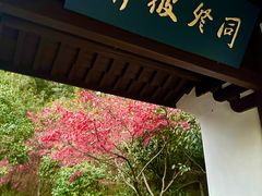 -虎跑公园