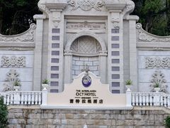 -深圳东部华侨城茵特拉根酒店