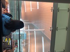 -巴塞罗那约瑟·塔拉德利亚斯-埃尔·普拉特机场
