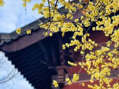 -钱王祠