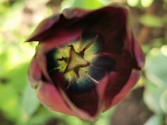 -长春公园(普阳街道)