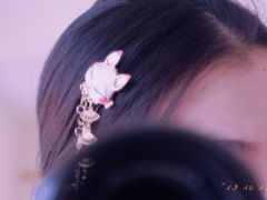 -柴犬小屋·柴餐厅·狗咖食堂(金鼎广场店)