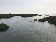 -北海金海湾红树林生态旅游区