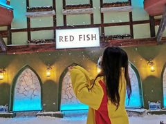 -世界之窗阿尔卑斯冰雪世界