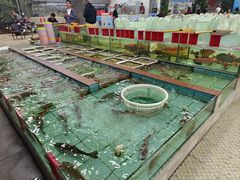 -景好海鲜餐厅(大鹏必选旅游店)