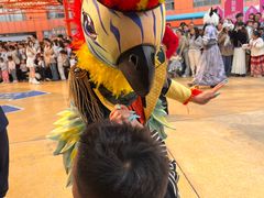 -海合安武汉极地海洋公园