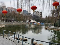 -莲湖公园