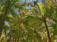 -海南分界洲岛旅游区