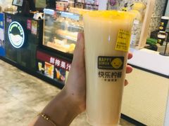 -小土豆北方菜馆(文慧园店)