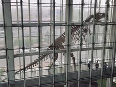 -吉林省自然博物馆