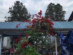 -璞真扎染博物馆