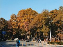-灵谷景区