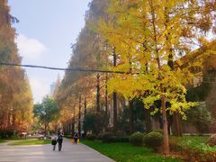 -复旦大学光华楼