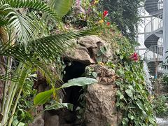 -郑州植物园