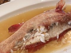 -锦江饭店-小礼堂中餐厅